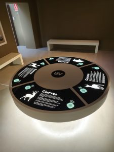 WhatsApp Image 2025-10-30 at 18.06.01 (1)