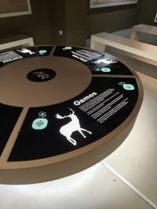 WhatsApp Image 2025-10-30 at 18.06.03 (1)