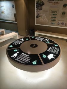 WhatsApp Image 2025-10-30 at 18.06.04 (1)