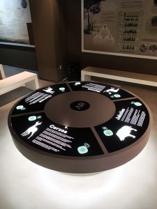 WhatsApp Image 2025-10-30 at 18.06.04 (2)