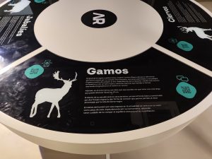 WhatsApp Image 2025-10-30 at 18.06.05 (1)