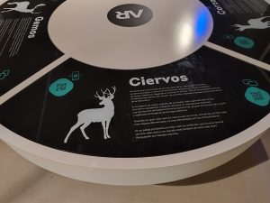 WhatsApp Image 2025-10-30 at 18.06.05