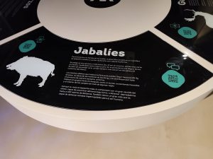 WhatsApp Image 2025-10-30 at 18.06.06