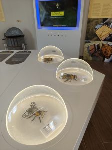 WhatsApp Image 2025-10-30 at 18.12.15 (1)