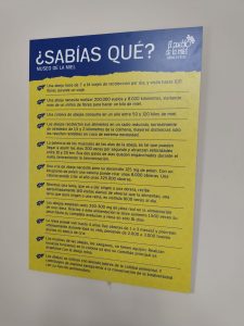 WhatsApp Image 2025-10-30 at 18.12.15