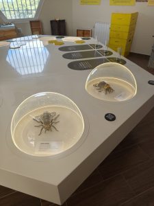 WhatsApp Image 2025-10-30 at 18.12.16 (1)