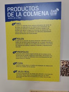 WhatsApp Image 2025-10-30 at 18.12.16