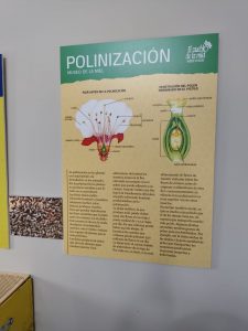 WhatsApp Image 2025-10-30 at 18.12.20