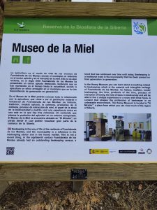 WhatsApp Image 2025-10-30 at 18.12.25